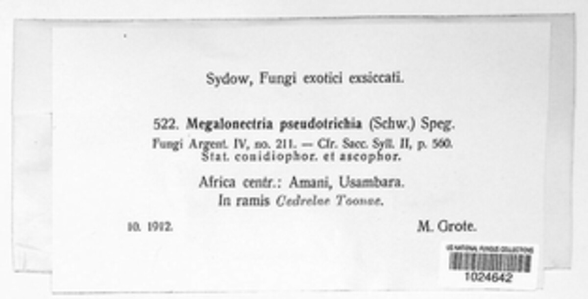 Nectria pseudotrichia image